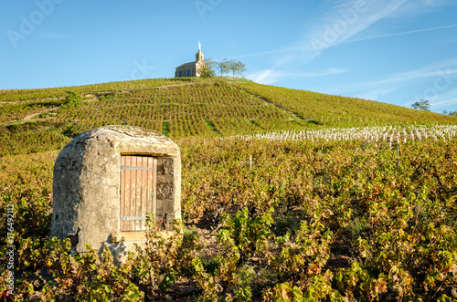 Old well and chapel in french vineyard