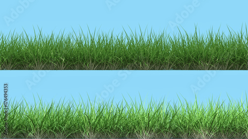 two different lines of grass frontal render isolated on light blue high quality design element