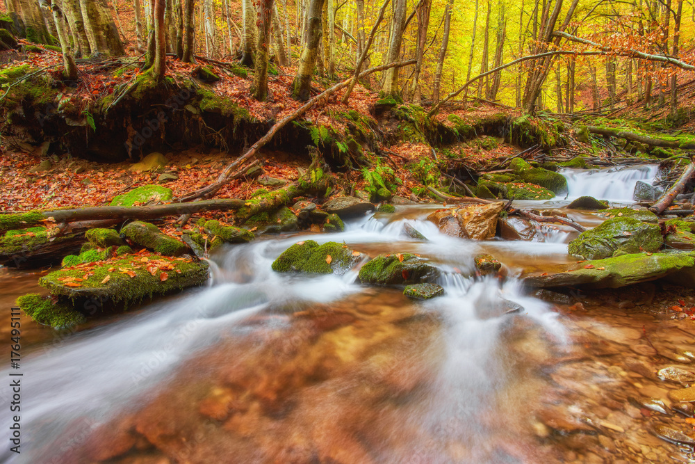 Fototapeta premium rapid mountain river in autumn.