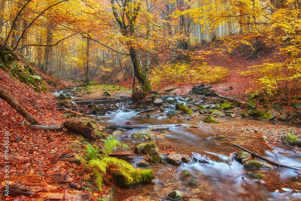 rapid mountain river in autumn. rapid mountain river in autumn.