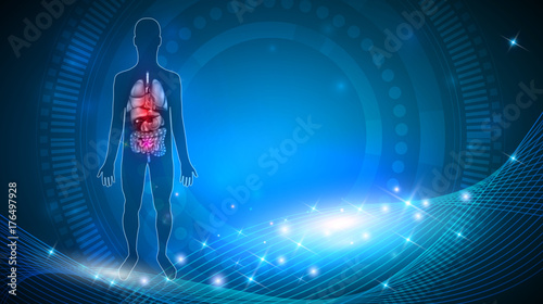 Medical background. Human internal organs anatomy colorful detailed illustration on an abstract blue background with glow