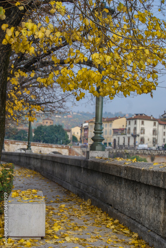 Autumn in Verona