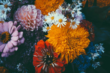 Papier peint photo Magasin de fleurs Fleurs magiques sur feuillage sombre  © Olga