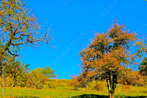 CAMPAGNE AUTOMNE AIN BUGEY