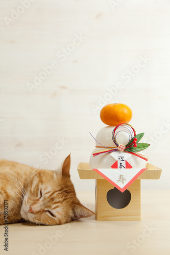 Fototapeta Naklejka Na Ścianę i Meble -  猫と鏡餅