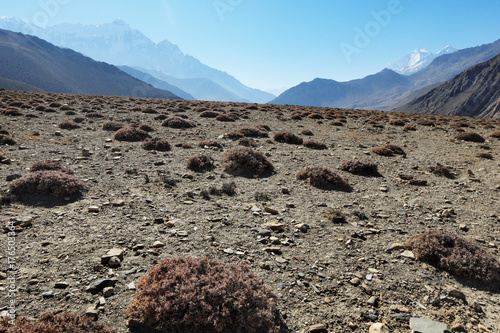 Mountain stony plateau with islands of vegetation