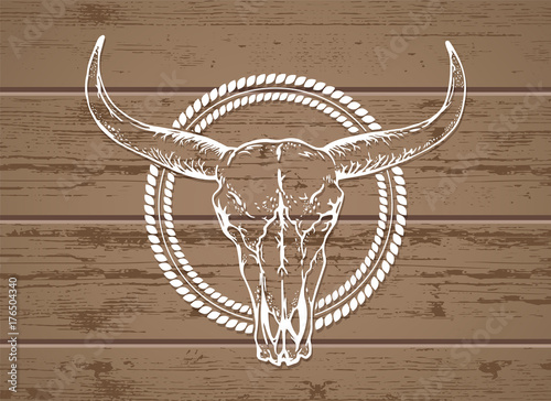 Vector illustration with a wild buffalo skull on a wooden background.