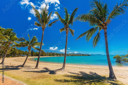 Hot day on sandy beach with palm trees, Airlie Beach, Whitsundays, Queensland Australia