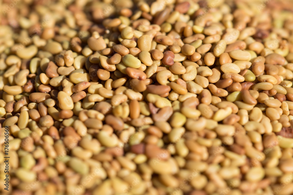 Lentils Background. Lentils Background.
