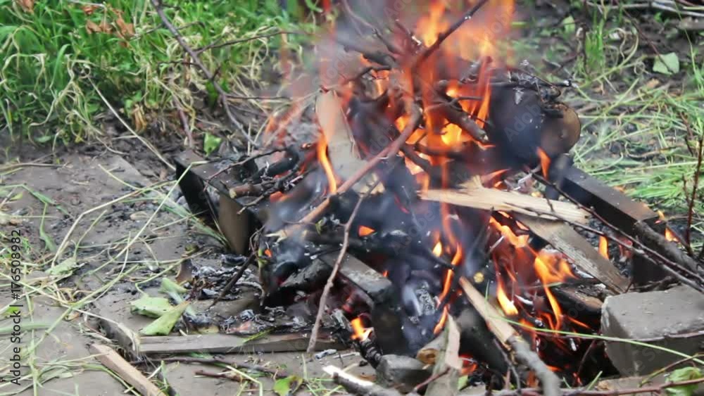 Dry branches burn on ground, branches of trees burn on fire Dry branches burn on ground, branches of trees burn on fire