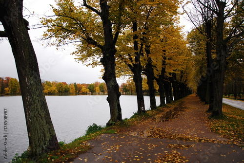autumn Park