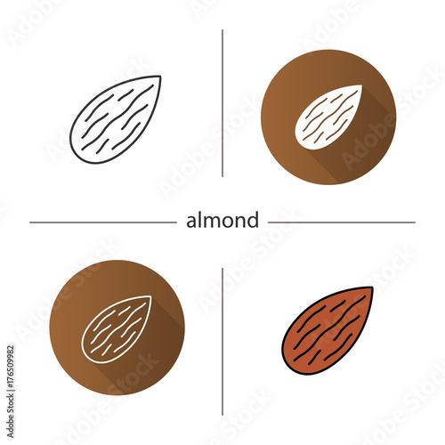 Almond icon