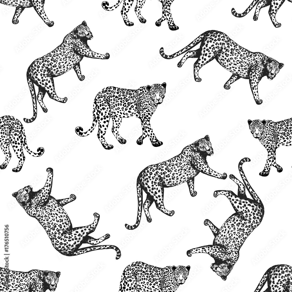 Obraz premium Seamless pattern of sketch style leopards. Vector illustration isolated on white background.