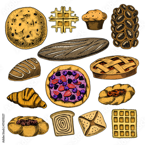 bread and pastry donut Belgian waffles and fruit pie. sweet bun or croissant, muffin and toasts. engraved hand drawn in old sketch and vintage style for label and menu bakery shop. organic food.