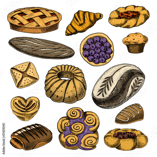 bread and pastry donut Belgian waffles and fruit pie. sweet bun or croissant, muffin and toasts. engraved hand drawn in old sketch and vintage style for label and menu bakery shop. organic food.