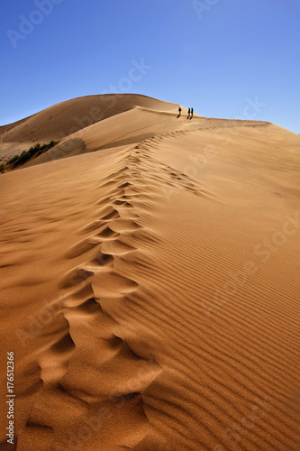 Namib desert