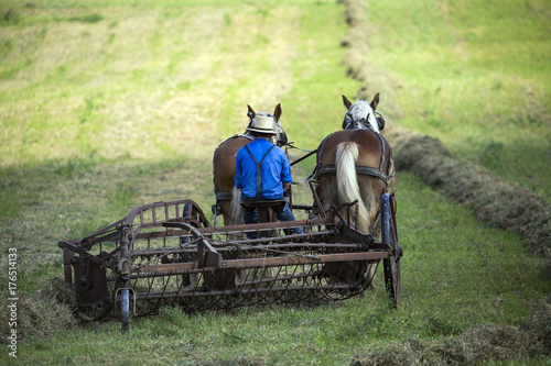USA - Ohio - Amish photo