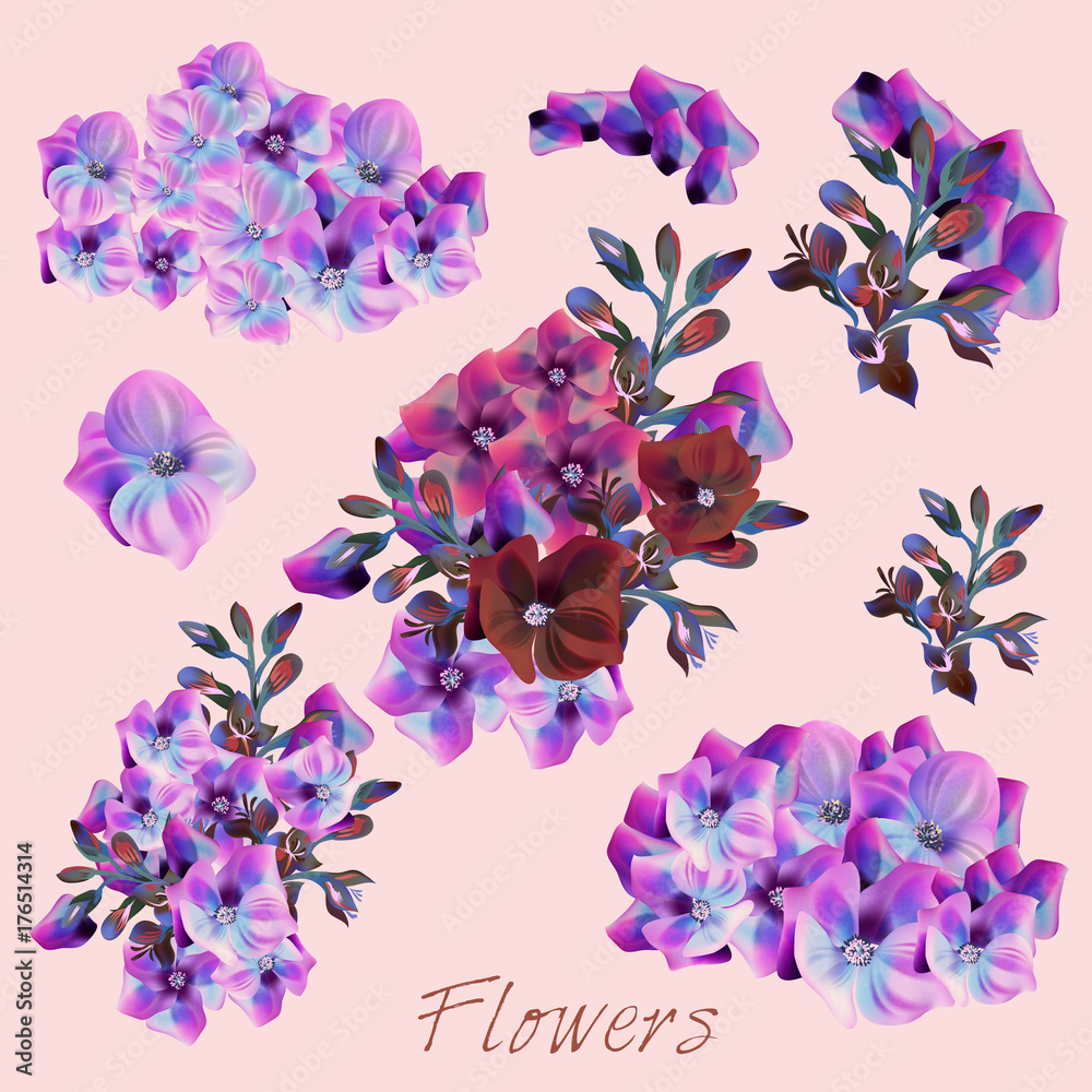 Fototapeta Collection of vector pink and purple flowers for design
