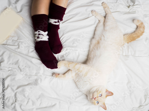 Cute photo of woman's feet with christmas slippers, top view point. Cozy, comfy, soft, next white fluffy cat, comfortable and quiet