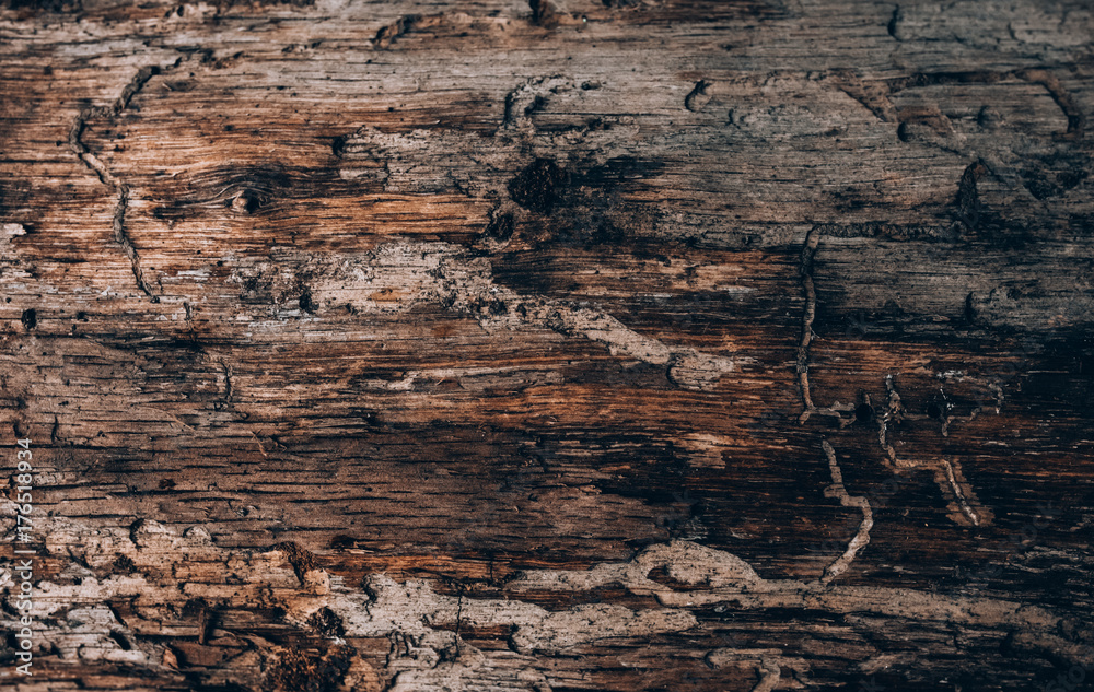 Obraz premium background wood