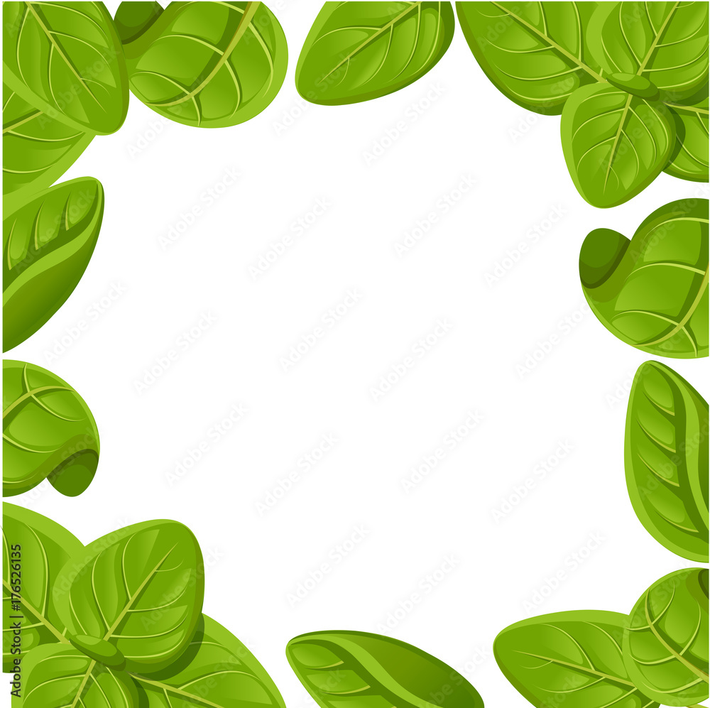 Oregano set vector drawing. Isolated Oregano plant with leaves. Herbal engraved style illustration. Detailed organic product sketch. Cooking spicy ingredient Web site page and mobile app design