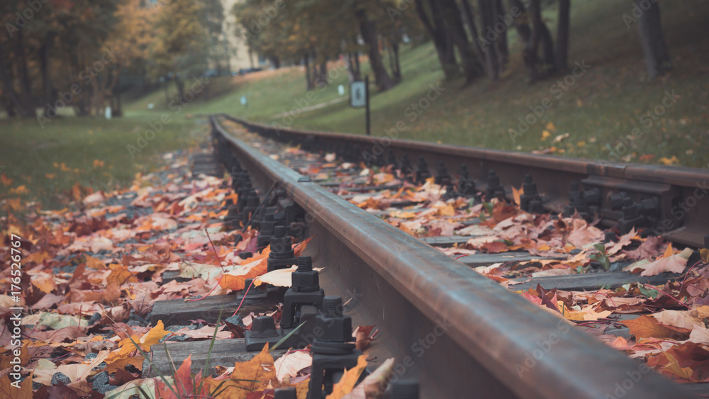 Railway rails in autumn leaves Railway rails in autumn leaves
