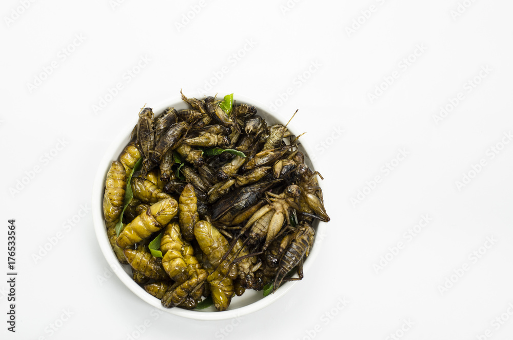 Thai North east food fried warm and grasshopper Thai North east food fried warm and grasshopper