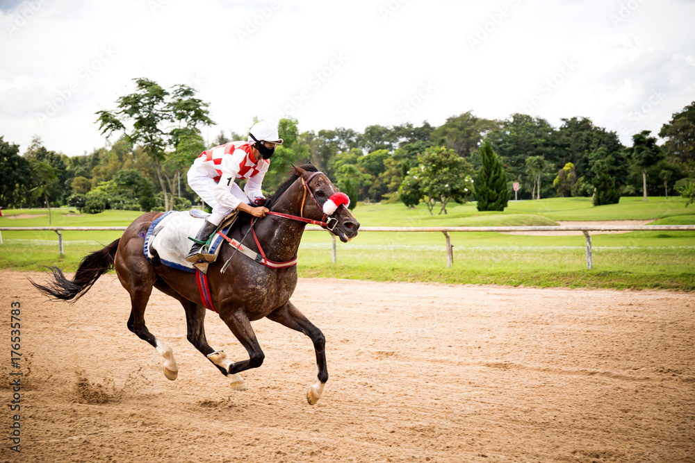 Jockey and horse taking the lead in a race Jockey and horse taking the lead in a race