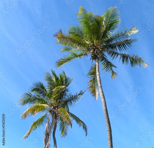 Bahia Honda state park in Florida Keys