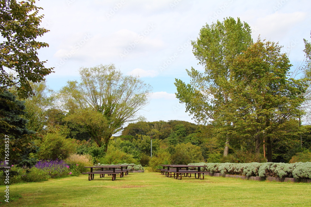 Andersen Park in Autumn / Andersen Park is a public park in Funabashi City, Chiba Prefecture.