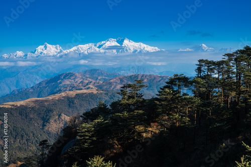 Kangchenjunga mount landscape during blue sky day time behind pine tree photo