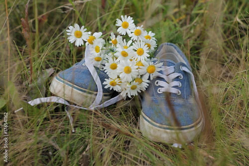 blue shoes and daisies on the grass in the summer