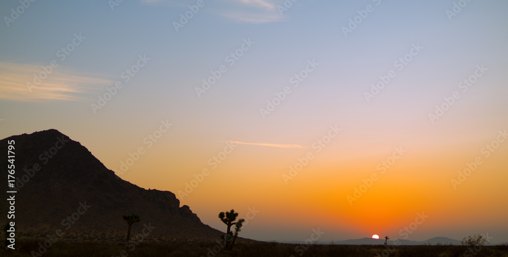 Mojave Desert Sunrise