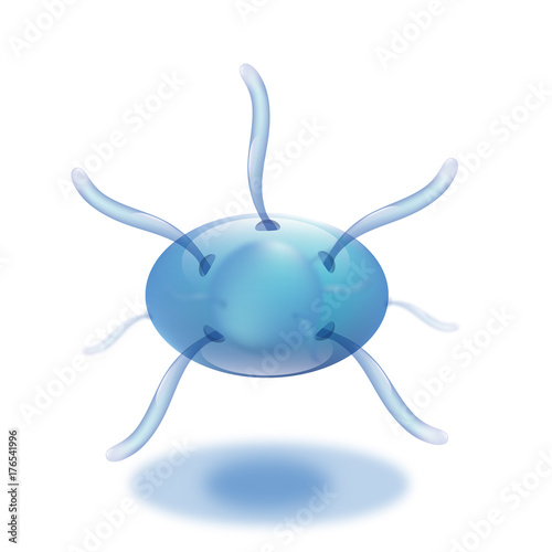 microorganism