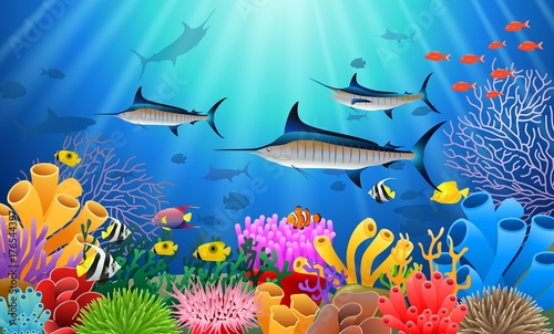 Fototapeta Naklejka Na Ścianę i Meble -  Blue Marlin Fish Swimming Under Water Cartoon Animal Character. Vector Illustration.