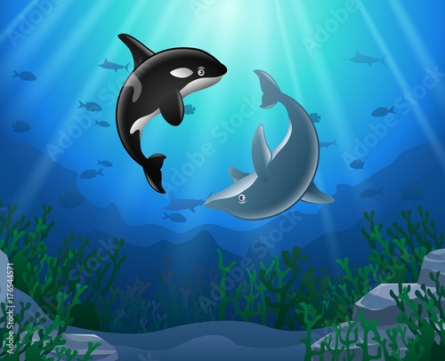 Killer whales and dolphin cartoon with underwater view and coral background. Vector Illustration.