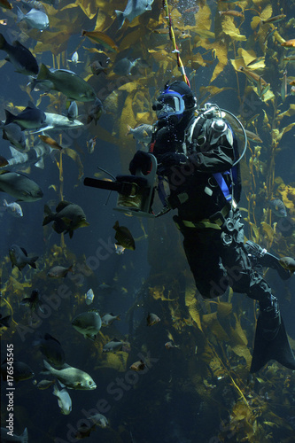 Feeding  Time at the Aquarium