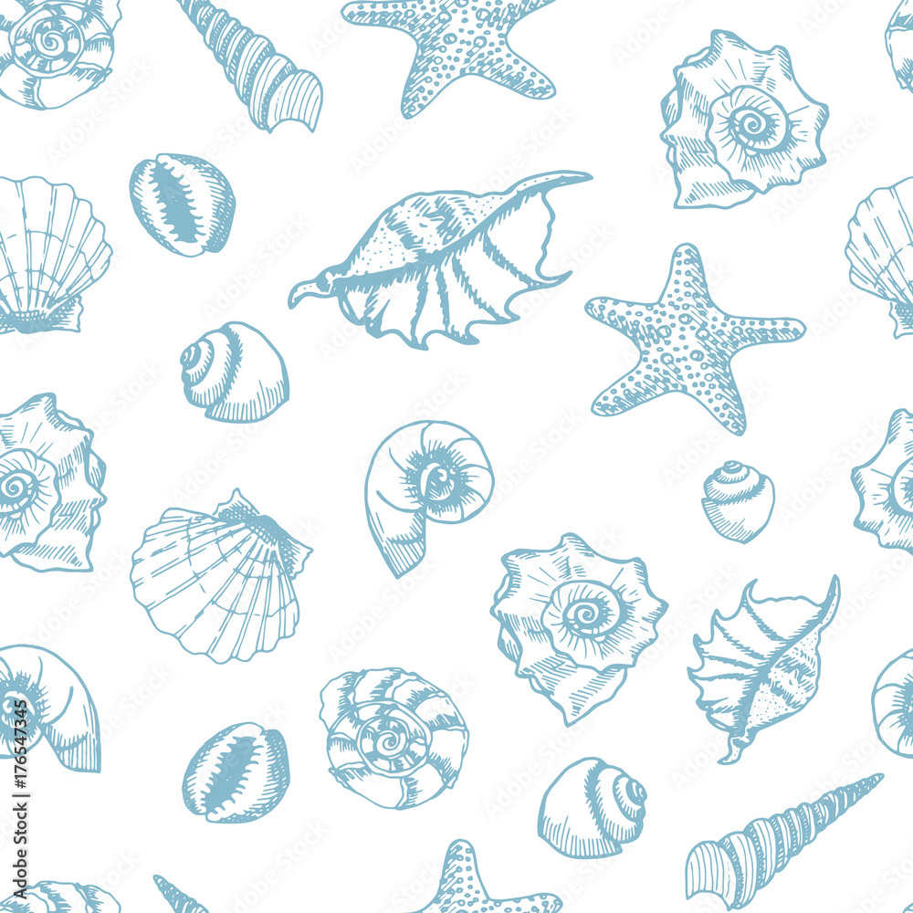 Shell and star fish seamless pattern. Hand drawn shells on white background.