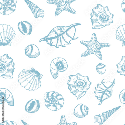 Shell and star fish seamless pattern. Hand drawn shells on white background. © galunga.art