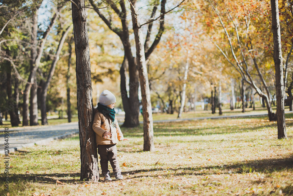 a little boy playing in autumn forest, collecting leaves a little boy playing in autumn forest, collecting leaves