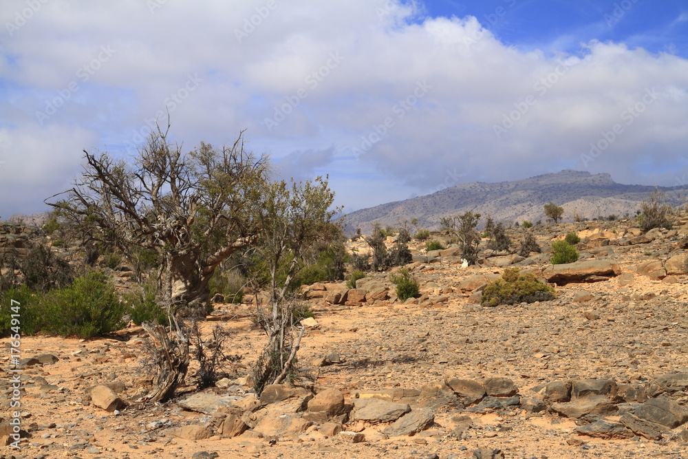 Jebel Shams