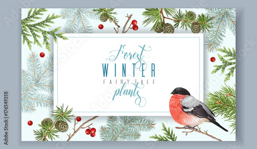 Winter horizontal bullfinch banner