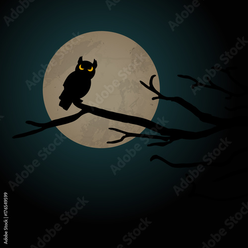 Halloween scary owl background