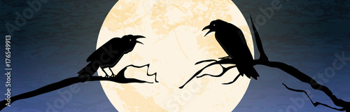 Halloween scary crow background