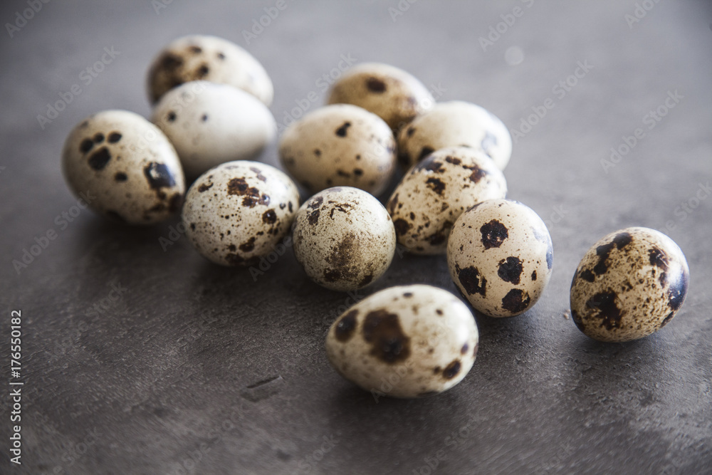 Quail Eggs Quail Eggs