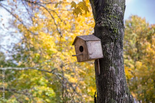 birdhouse in autumn Park