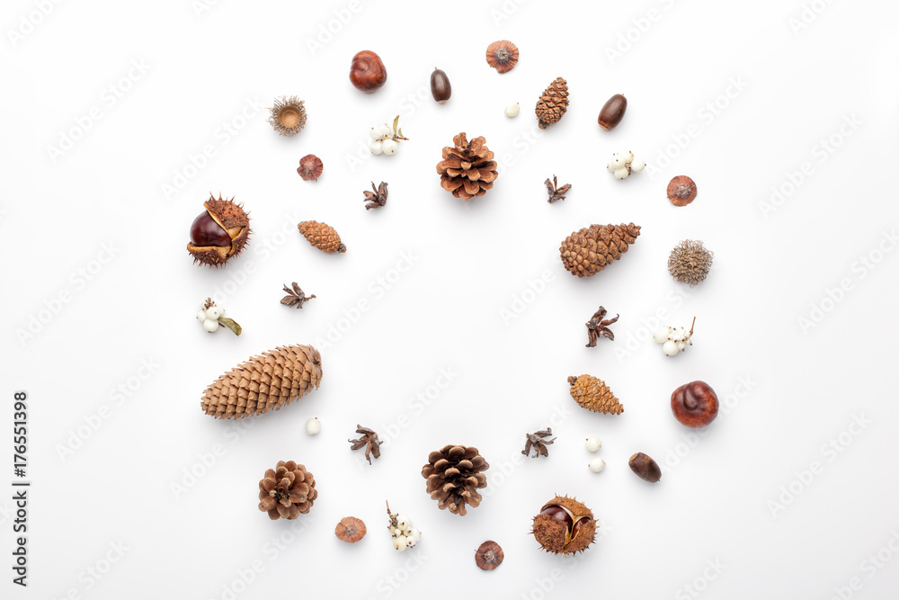 Autumn composition, frame made of pine cones, acorns and chestnuts. Flat lay, top view. Autumn composition, frame made of pine cones, acorns and chestnuts. Flat lay, top view.