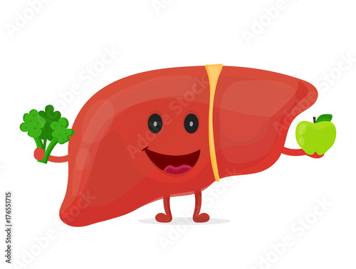 Strong healthy happy liver character