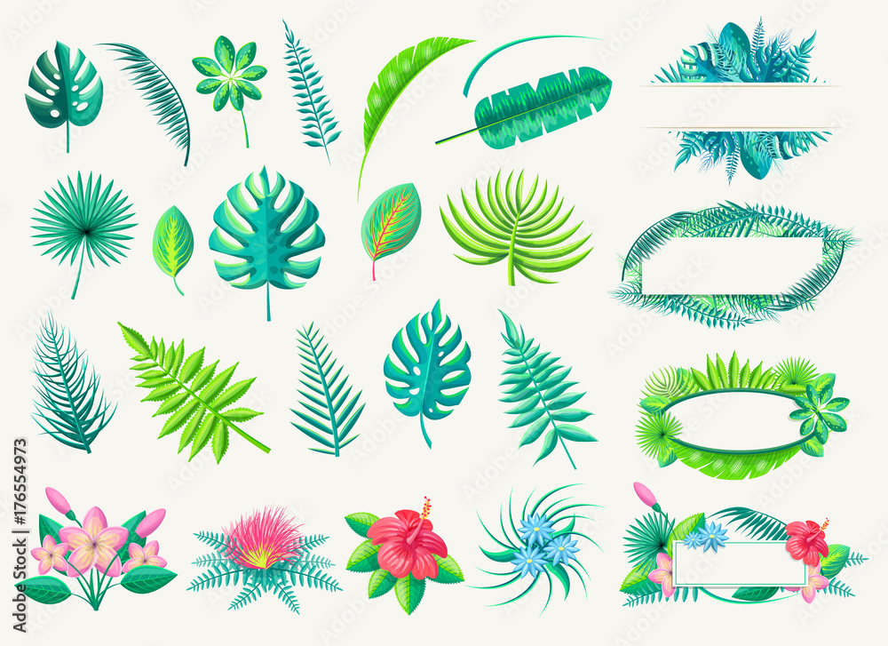 Tropical Leaves and Exotic Flowers Set on White Tropical Leaves and Exotic Flowers Set on White
