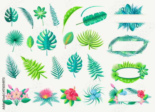 Tropical Leaves and Exotic Flowers Set on White